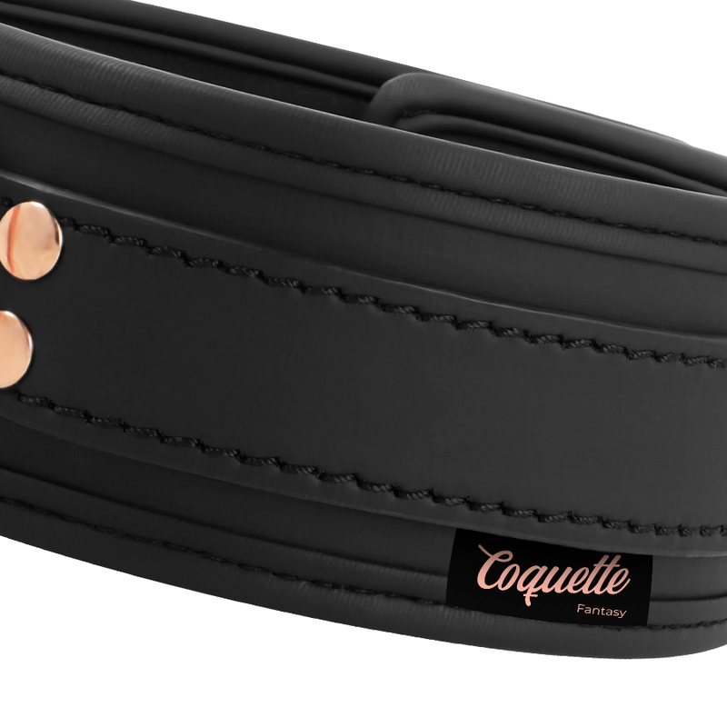 COQUETTE CHIC DESIRE - FANTASY VEGAN LEATHER NECKLACE WITH NEOPRENE LINING AND HANDLE