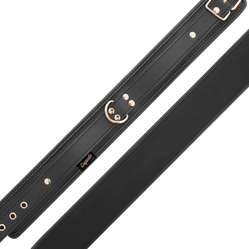 COQUETTE CHIC DESIRE - FANTASY VEGAN LEATHER NECKLACE WITH NEOPRENE LINING AND HANDLE