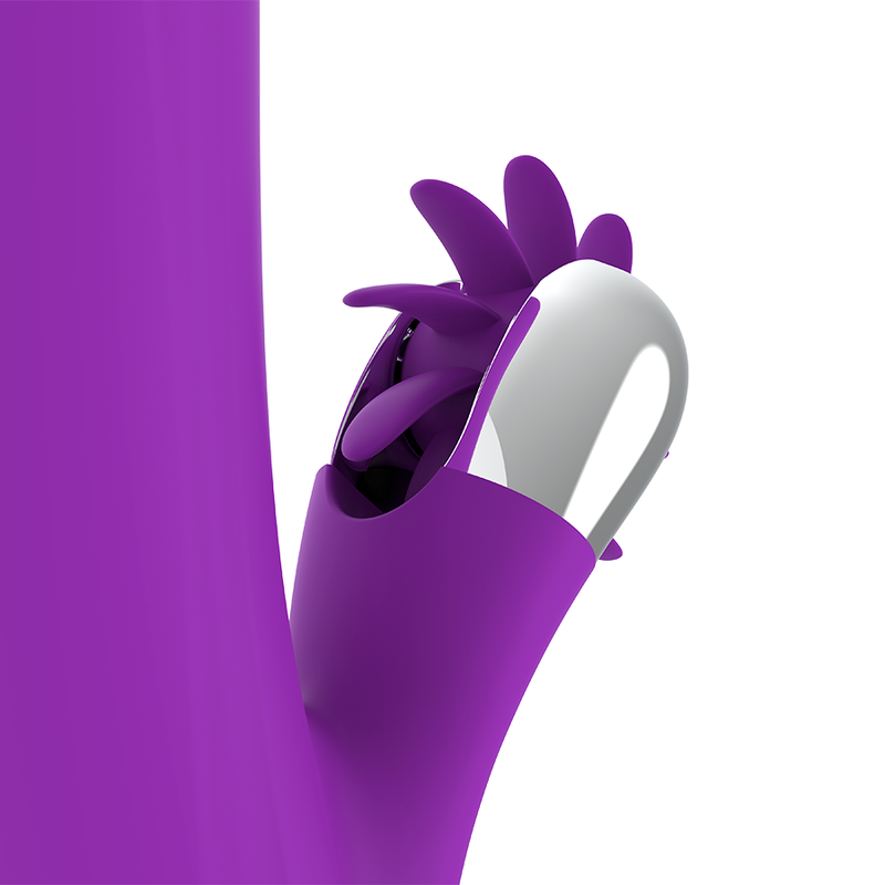 FUN FUNCTION - FUNNY RABBIT ROTATION 2.0