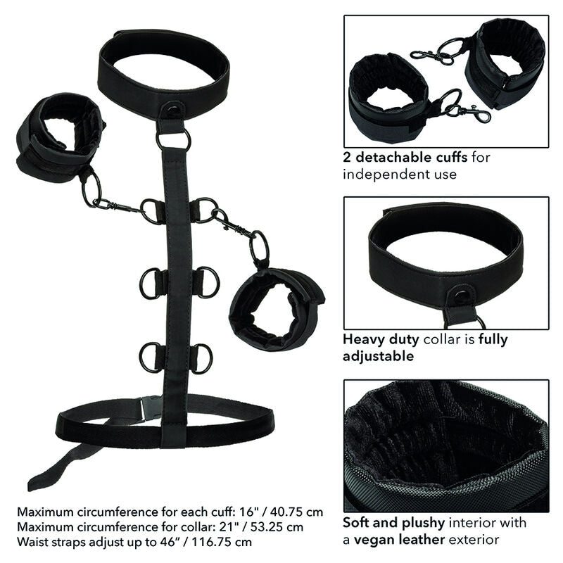 CALEXOTICS - BOUNDLESS BODY RETENTION NECKLACE