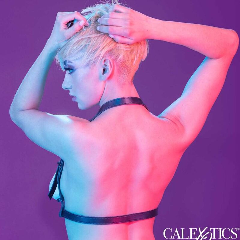 CALEXOTICS - ARNÉS CON HEBILLA DE CABALLERO NEGRO EUPHORIA