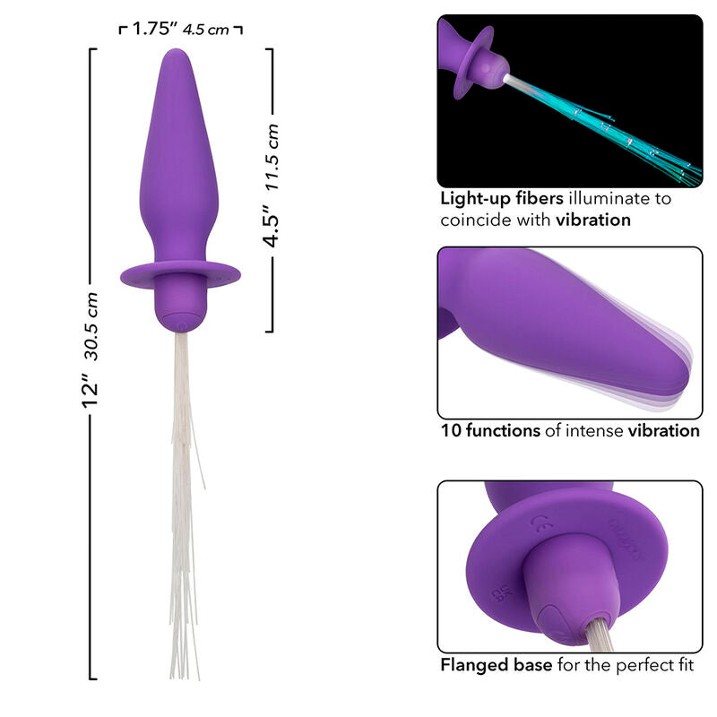 CALEXOTICS - SOUTHERN LIGHTS LIGHT UP ANAL PLUG 10 VIBRATIONS PURPLE SILICONE