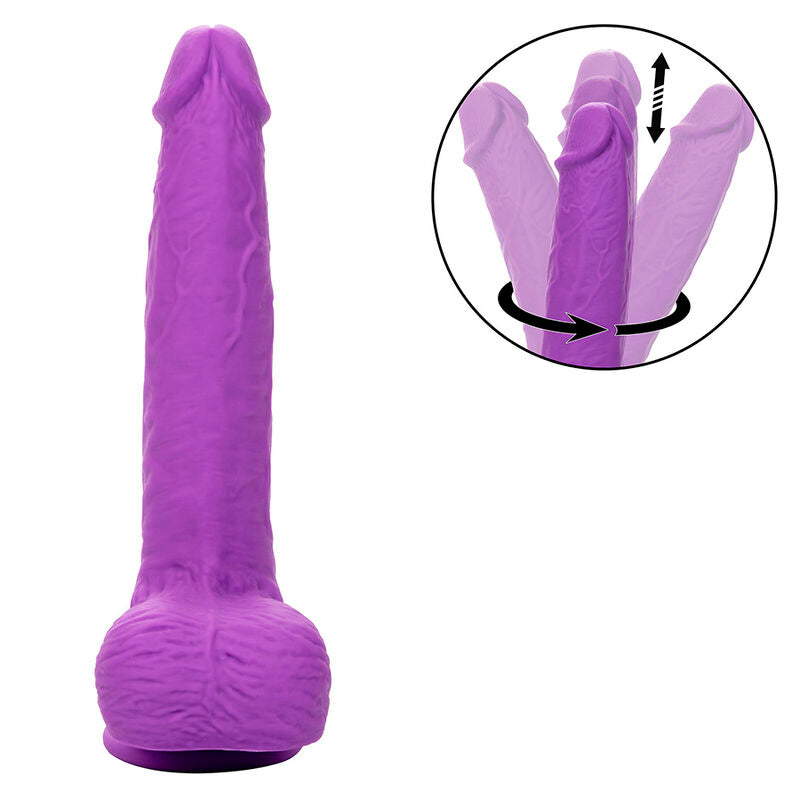 CALEXOTICS - ROTARY AND RECHARGEABLE VIBRATOR STUDS 10 VIBRATIONS PURPLE