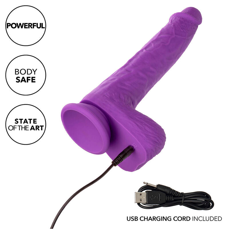 CALEXOTICS - ROTARY AND RECHARGEABLE VIBRATOR STUDS 10 VIBRATIONS PURPLE