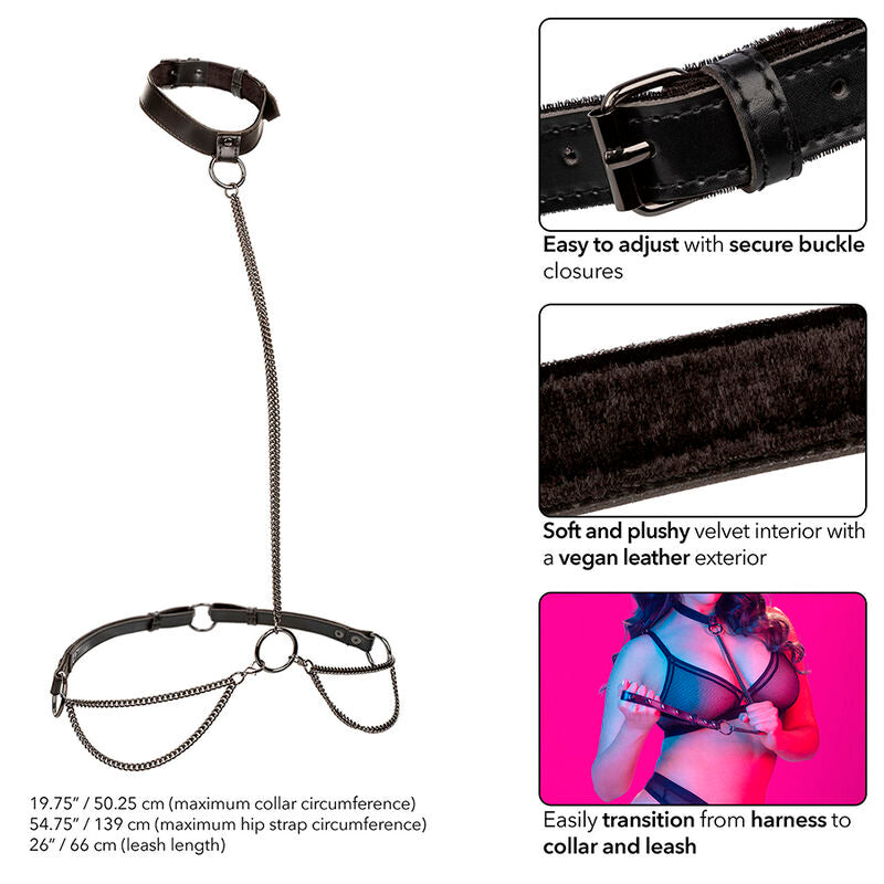 CALEXOTICS - EUPHORIA CHAIN ​​HALTER COLLAR AND LEASH LARGE SIZE