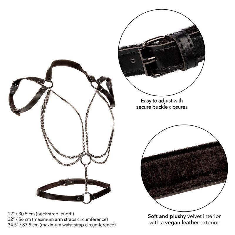 CALEXOTICS - EUPHORIA PREMIUM MULTI-CHANGER HARNESS