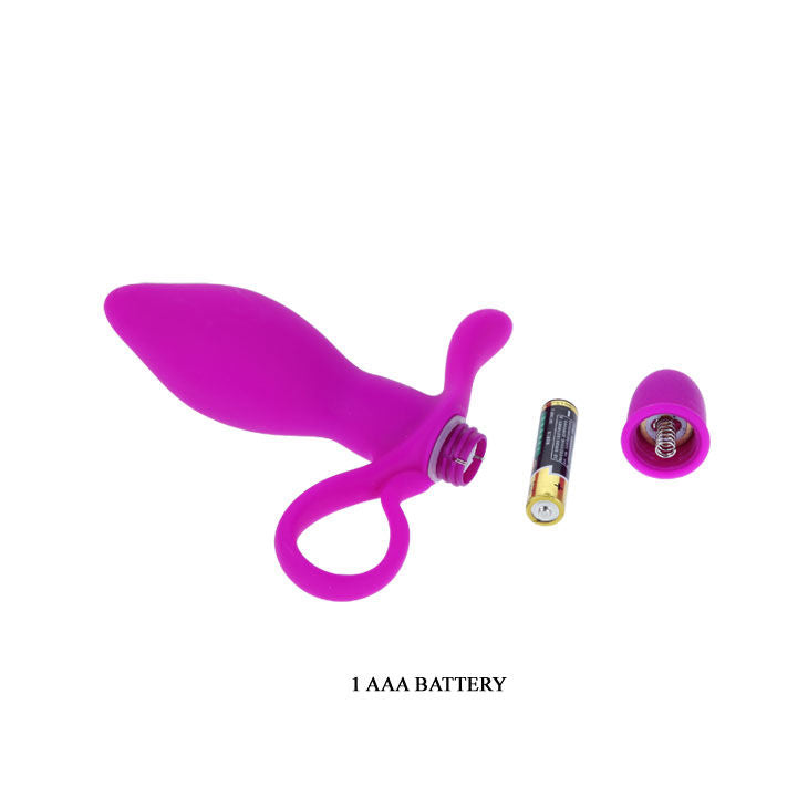 TAYLOR VIBRATOR