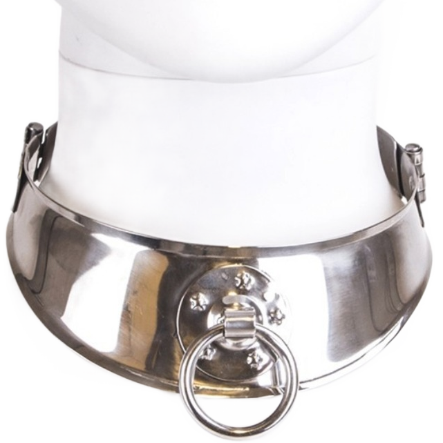 HARD METAL - RETAINING COLLAR WITH RING
