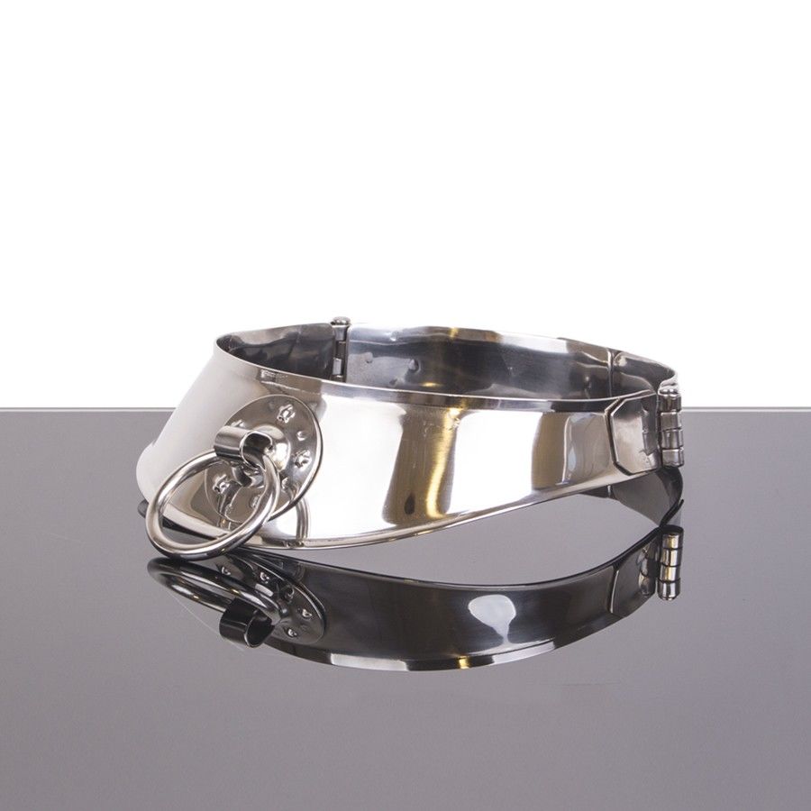HARD METAL - RETAINING COLLAR WITH RING